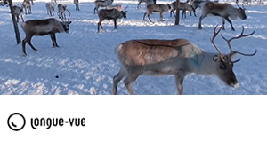 Longue-vue - LAPLAND 360°