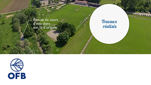 OFB - OFB WATERCOURSES
